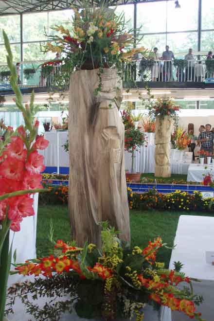 img00006.jpg