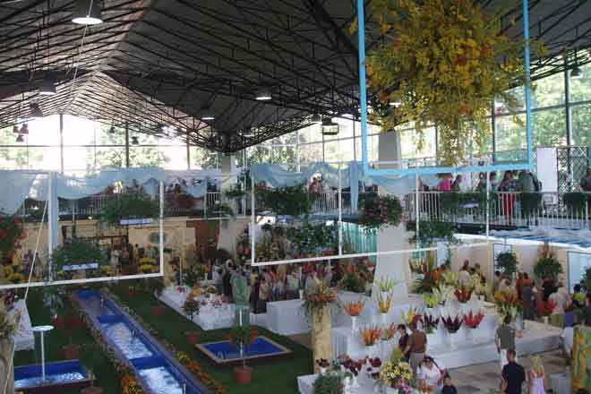 img00007.jpg