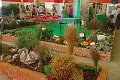  Zájezd na Floru Olomouc 18. 8. 2007