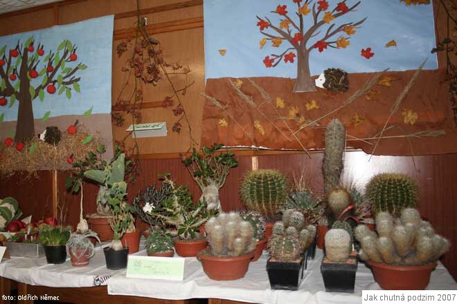 img00006.jpg