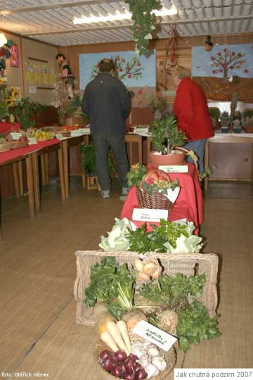 img00025.jpg