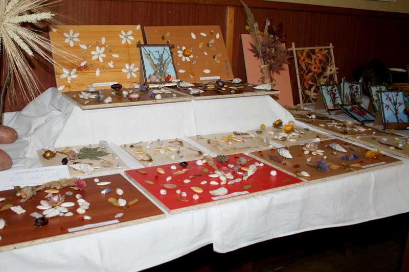 img00012.jpg