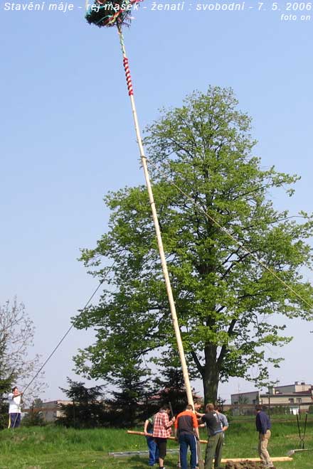 img00019.jpg