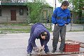 Rej masek - stavění máje - ženatí : svobodní -  Lubojaty 7. 5. 2006