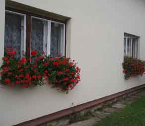 Foto č. 4