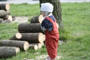palenicarodejnic2008_00045