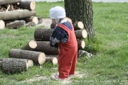 palenicarodejnic2008_00046