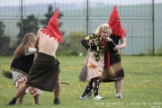 palenicarodejnic2008_00057