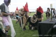 palenicarodejnic2008_00079