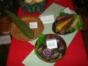 jakchutnapodzim2008_00009