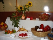 jakchutnapodzim2008_00018