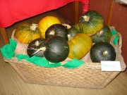 jakchutnapodzim2008_00021