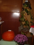 jakchutnapodzim2008_00023