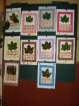 jakchutnapodzim2008_00024