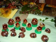 jakchutnapodzim2008_00027